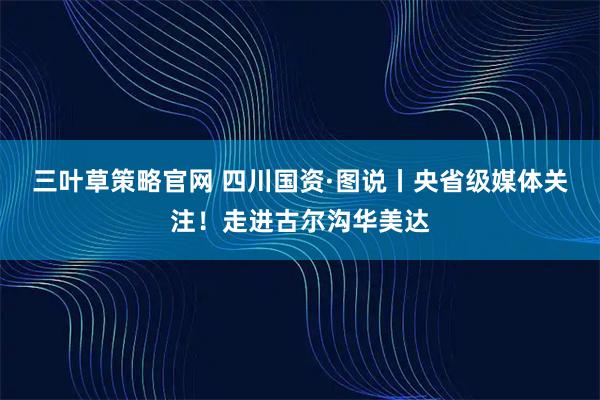 三叶草策略官网 四川国资·图说丨央省级媒体关注！走进古尔沟华美达